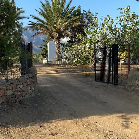Villa Bianca Tertenìa Exterior foto
